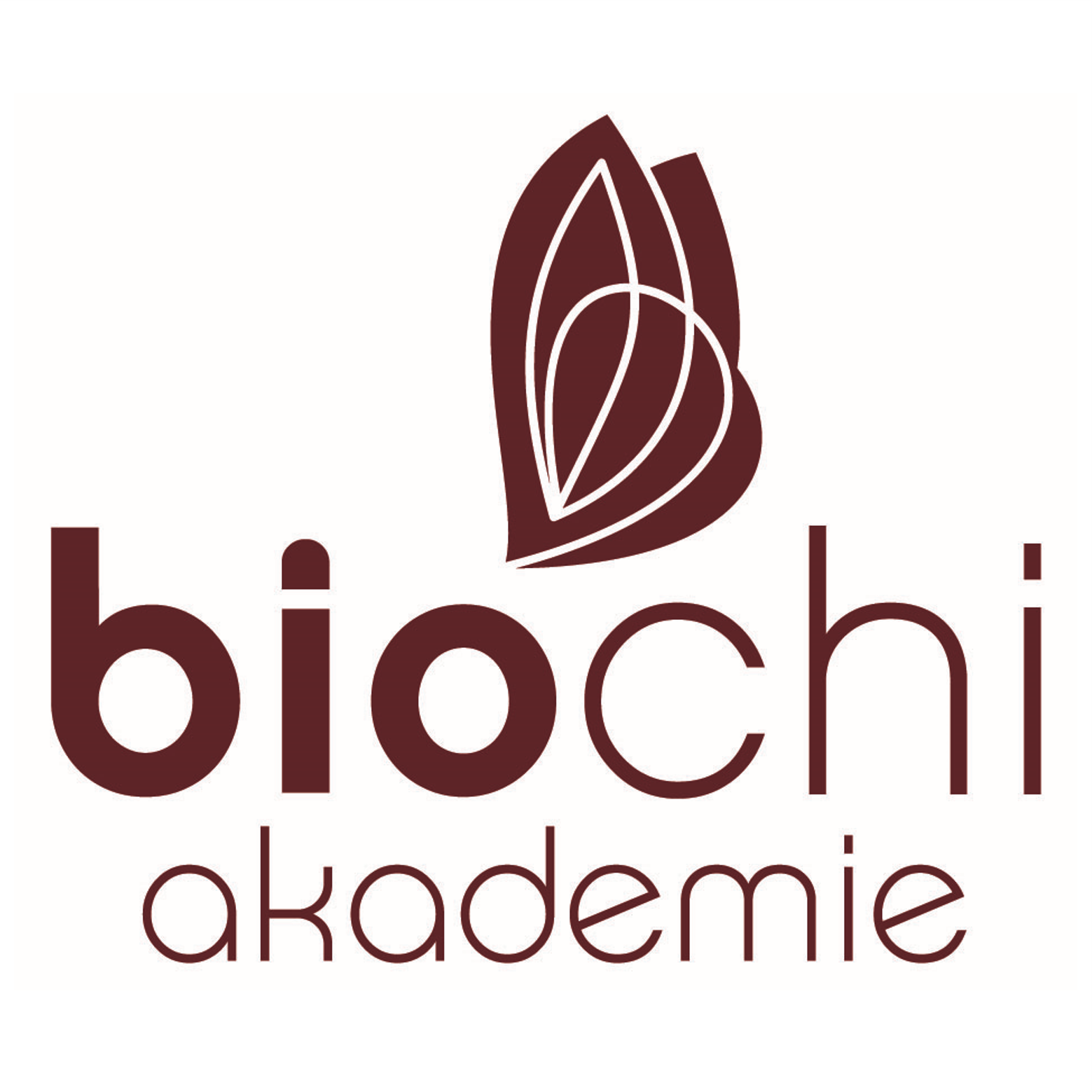 biochi Logo