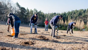 waldsetzen-jetzt-arbeit